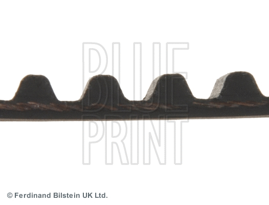 Timing Belt