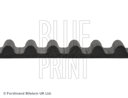 Timing Belt