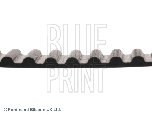 Timing Belt
