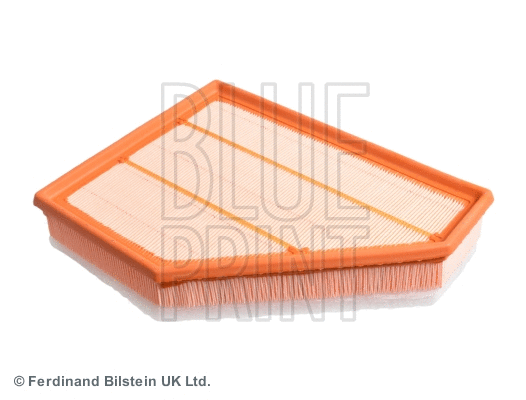 Air Filter (ADB112209)