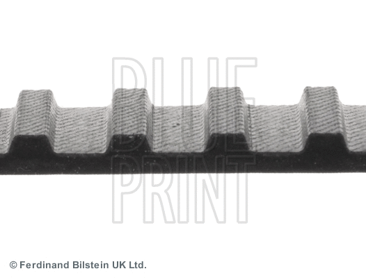 Timing Belt