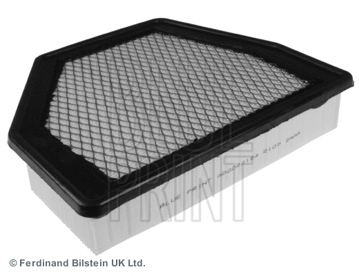 Air Filter (ADG022124)