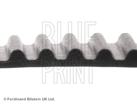 Timing Belt