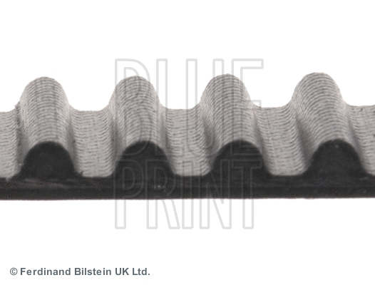 Timing Belt
