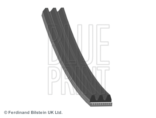 V-Ribbed Belt (AD03S842)