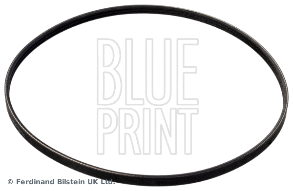 V-Ribbed Belt (AD03R872)