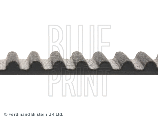 Timing Belt