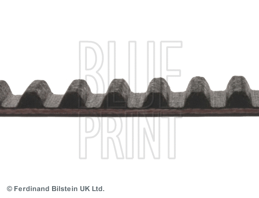 Timing Belt