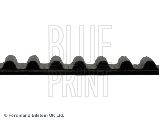 Timing Belt