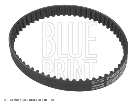 Timing Belt (ADV187501)