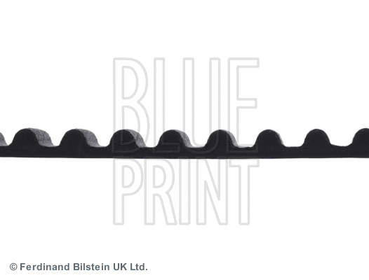 Timing Belt