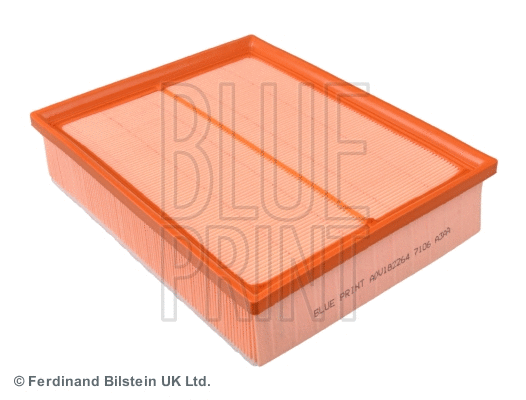 Air Filter (ADV182264)