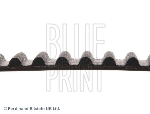 Timing Belt