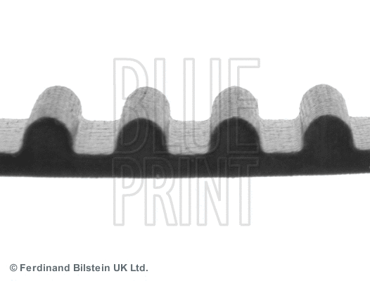 Timing Belt