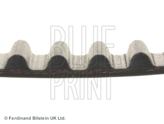 Timing Belt