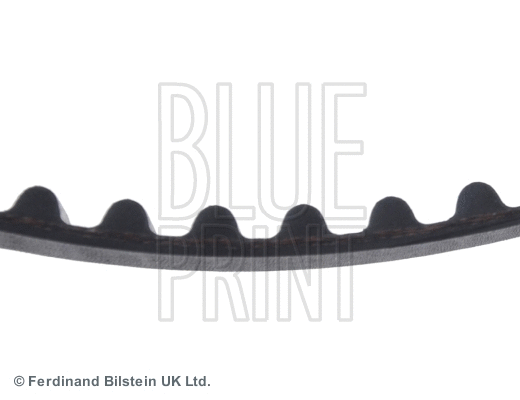 Timing Belt