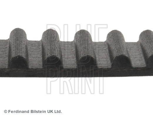 Timing Belt