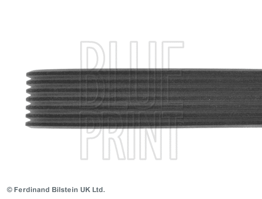 V-Ribbed Belt
