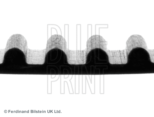 Timing Belt