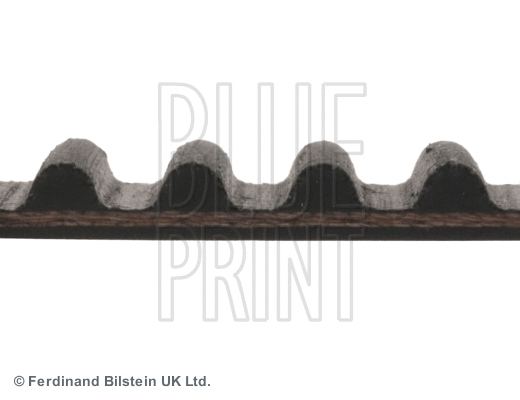 Timing Belt