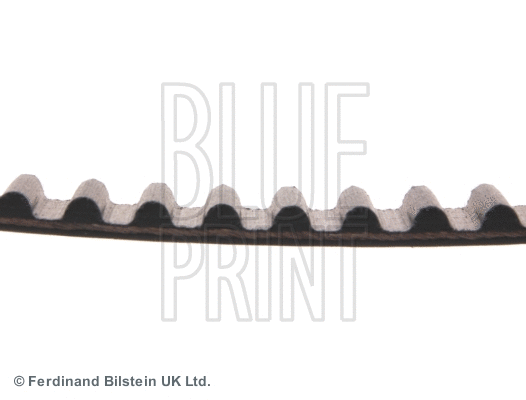 Timing Belt