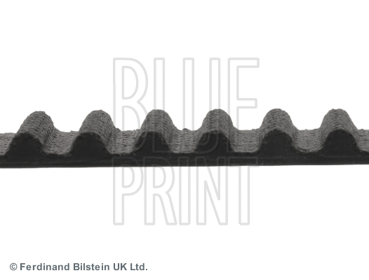 Timing Belt