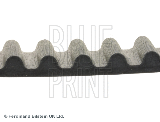 Timing Belt