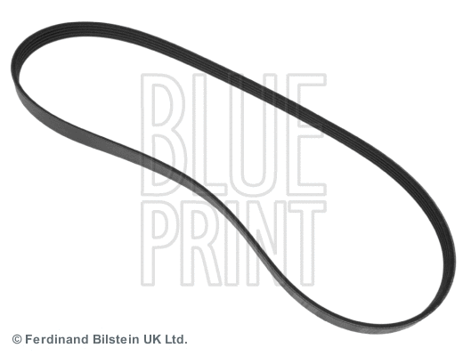 V-Ribbed Belt (ADC49624)