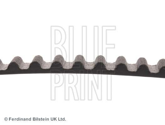 Timing Belt