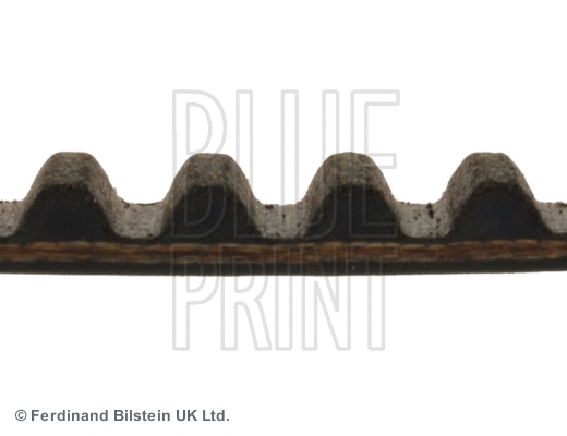 Timing Belt