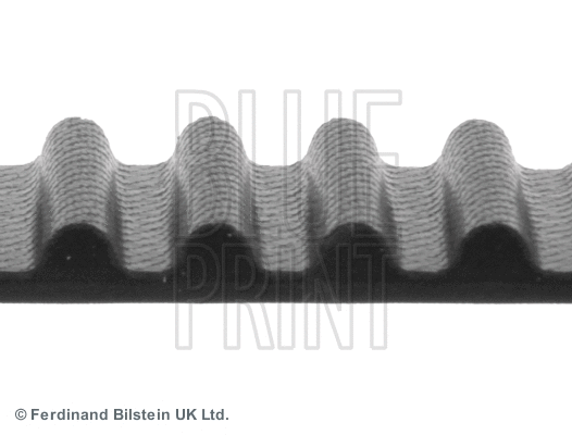 Timing Belt