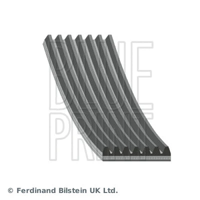 V-Ribbed Belt (AD07R945)