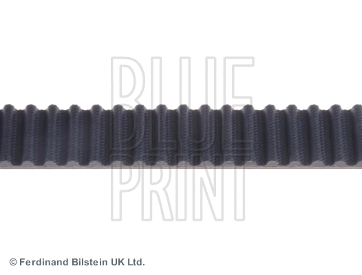 Timing Belt