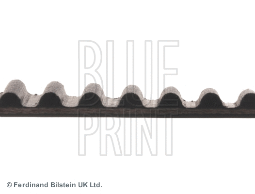 Timing Belt