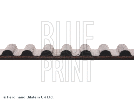 Timing Belt