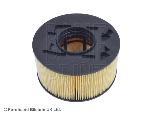 Air Filter (ADB112246)