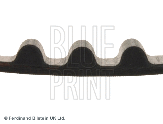 Timing Belt