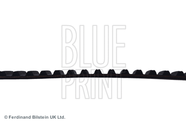 Timing Belt