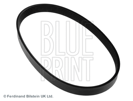 V-Ribbed Belt (ADN19651)