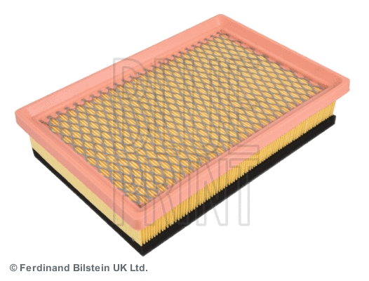 Air Filter (ADA102215)