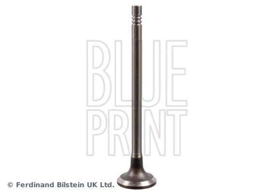 Intake Valve (ADBP610034)