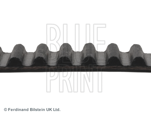 Timing Belt