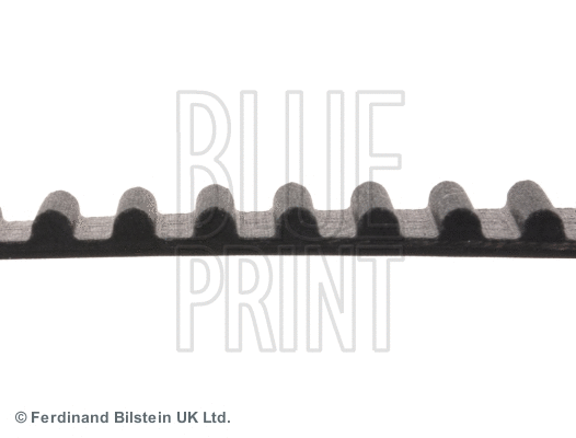 Timing Belt