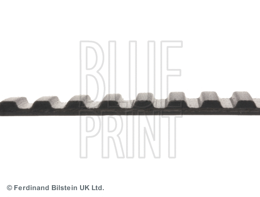Timing Belt