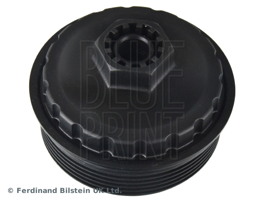 Cap, oil filter housing (ADBP990008)