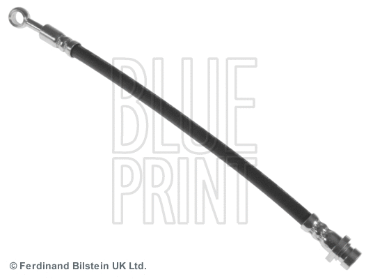 Brake Hose (ADG053231)