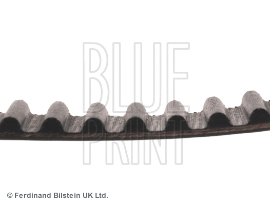 Timing Belt