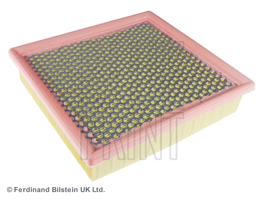 Air Filter (ADA102211)