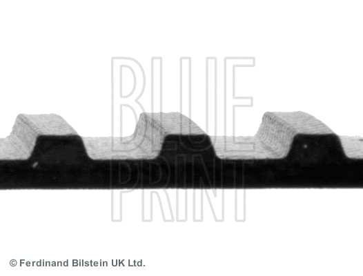 Timing Belt