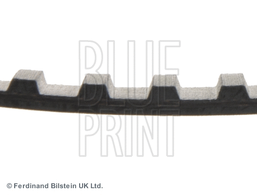 Timing Belt